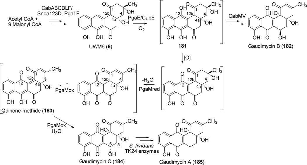 Scheme 20