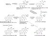 Scheme 19