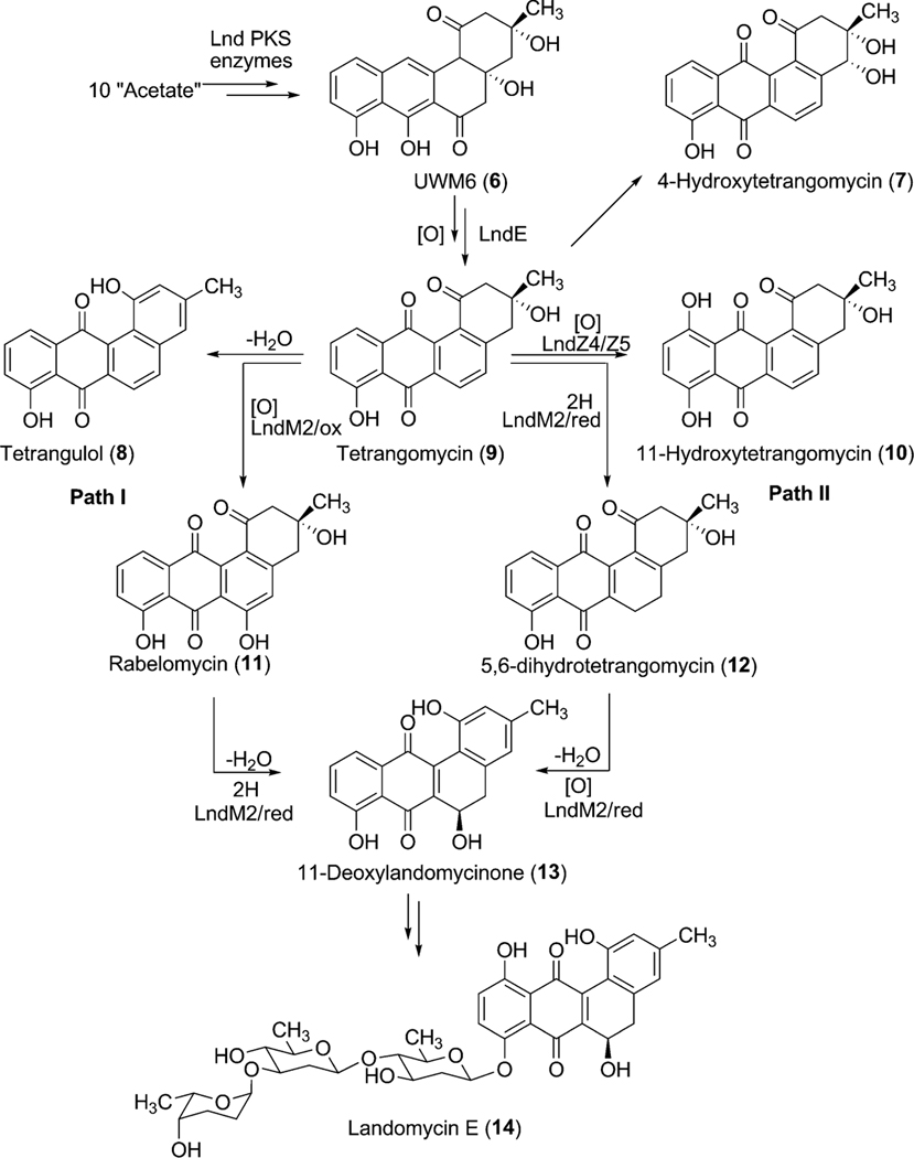 Scheme 3