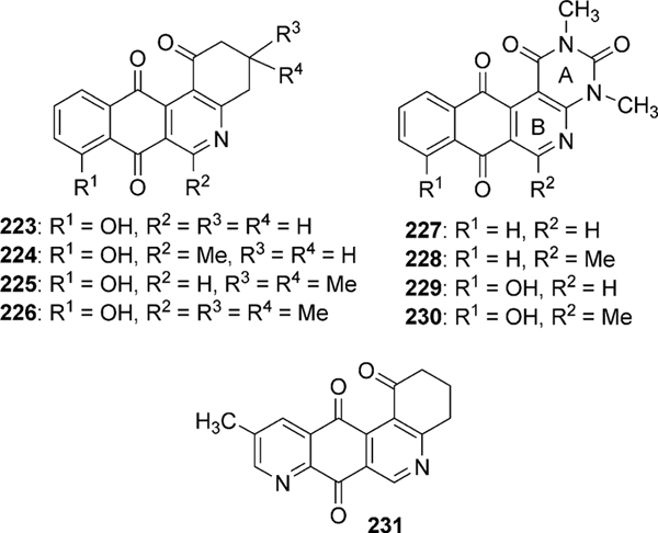 Fig. 13