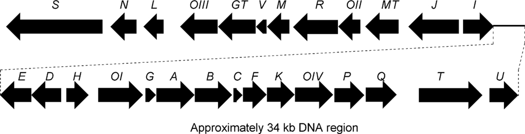 Fig. 11