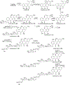 Scheme 5