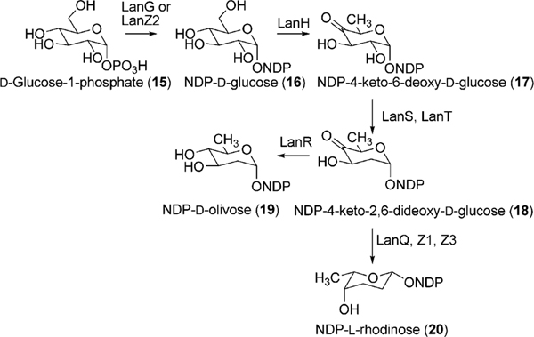 Scheme 4