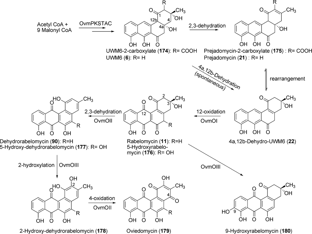 Scheme 19