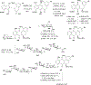 Scheme 44