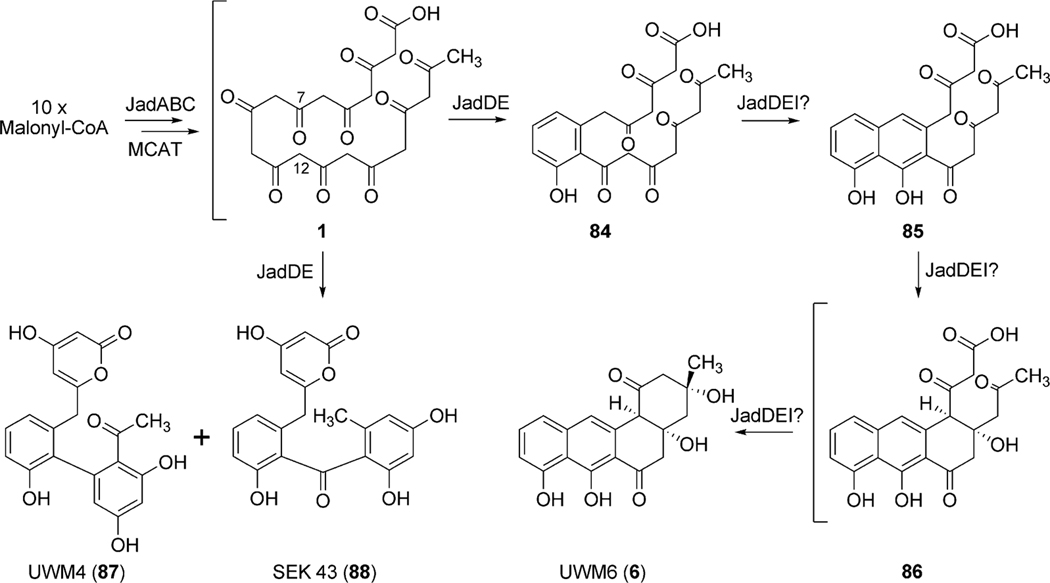 Scheme 12