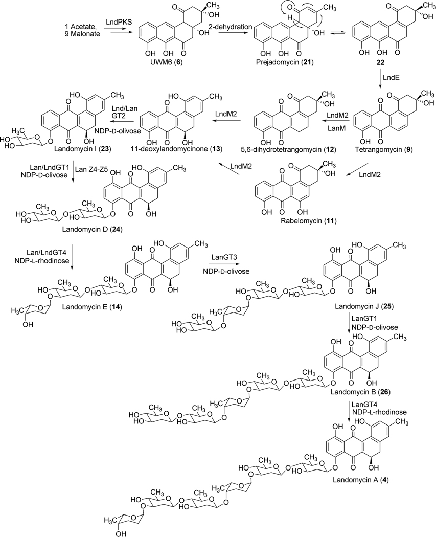 Scheme 5