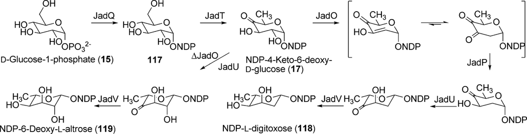 Scheme 15