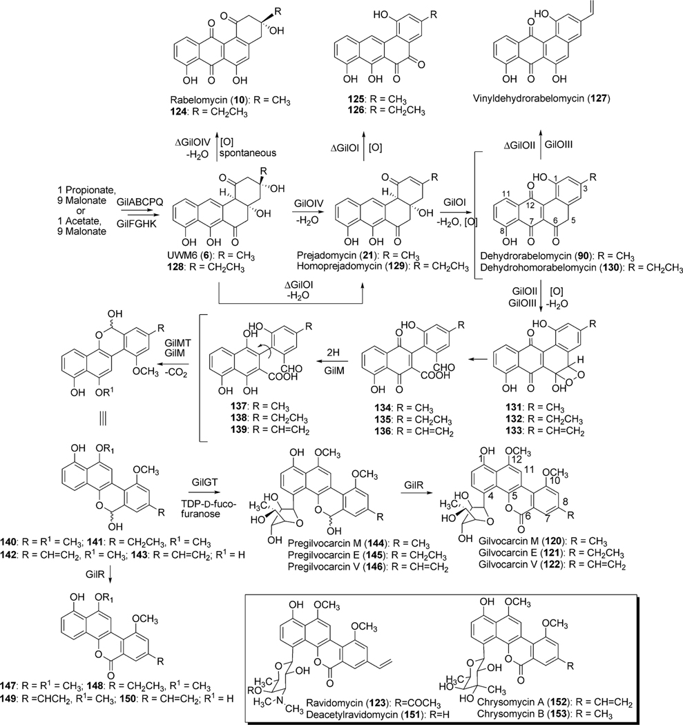 Scheme 17