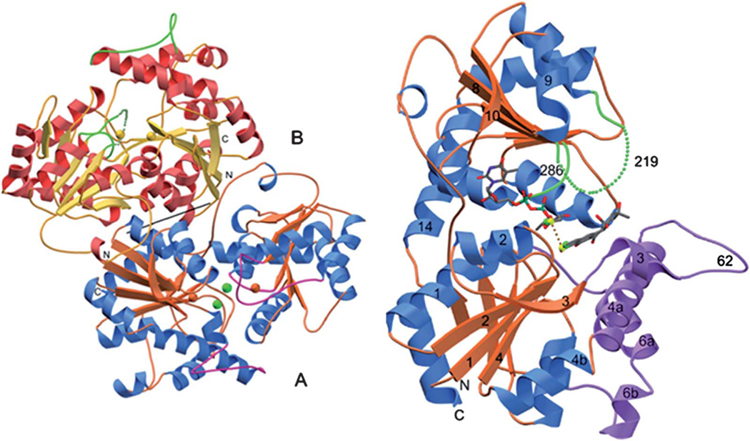 Fig. 6