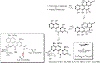 Scheme 16