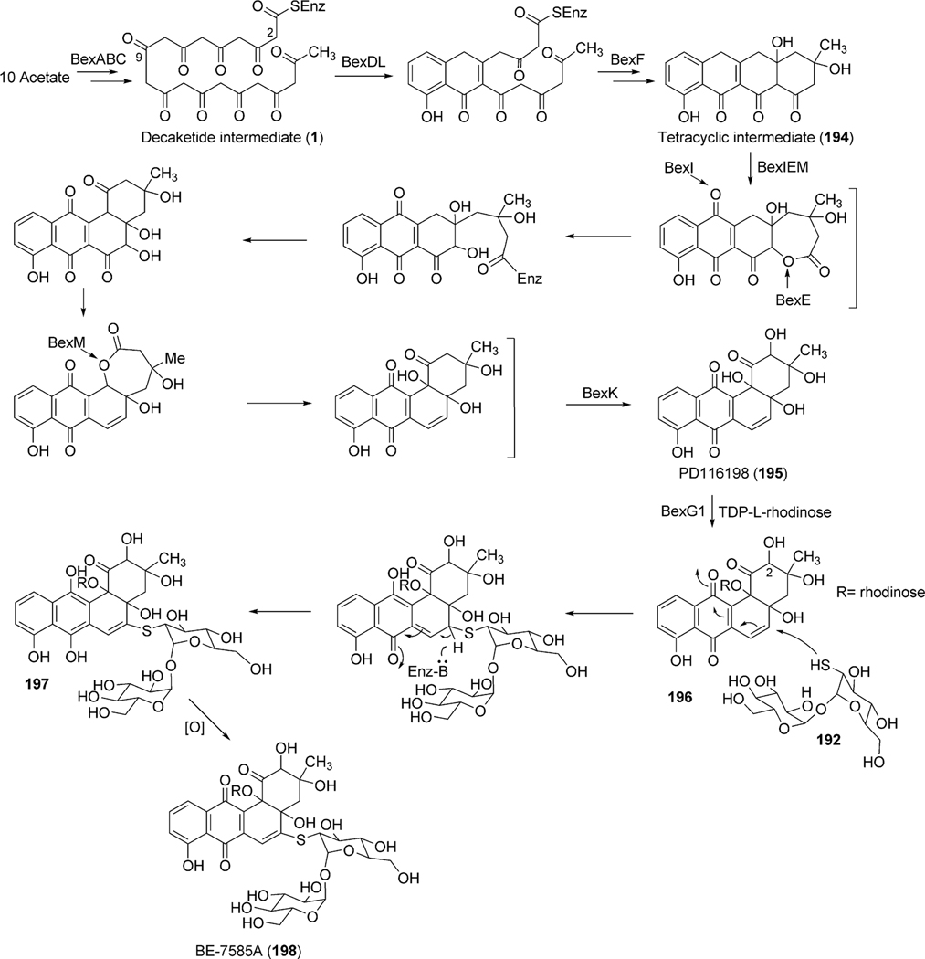 Scheme 24