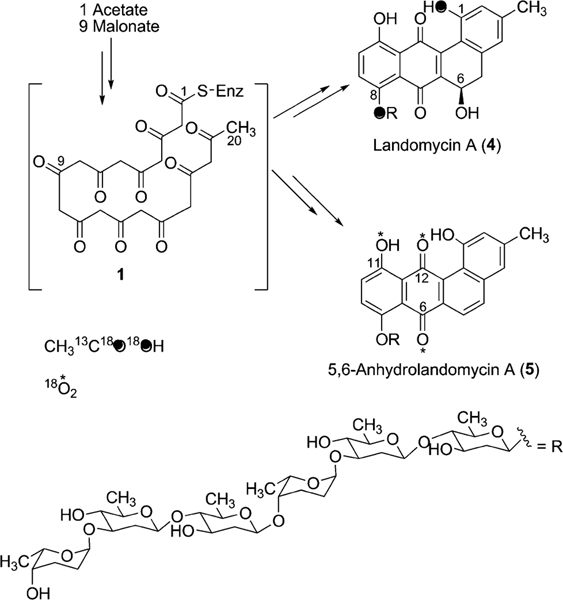 Scheme 2