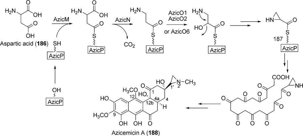 Scheme 21