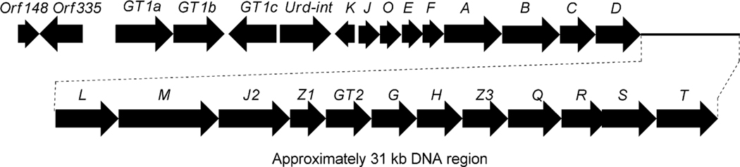 Fig. 4