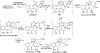 Scheme 20