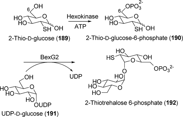 Scheme 22