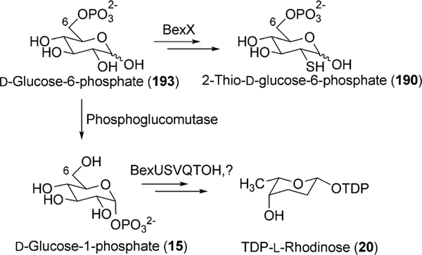 Scheme 23