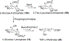 Scheme 23
