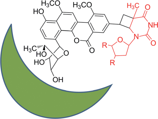 Fig. 16