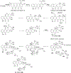 Scheme 24