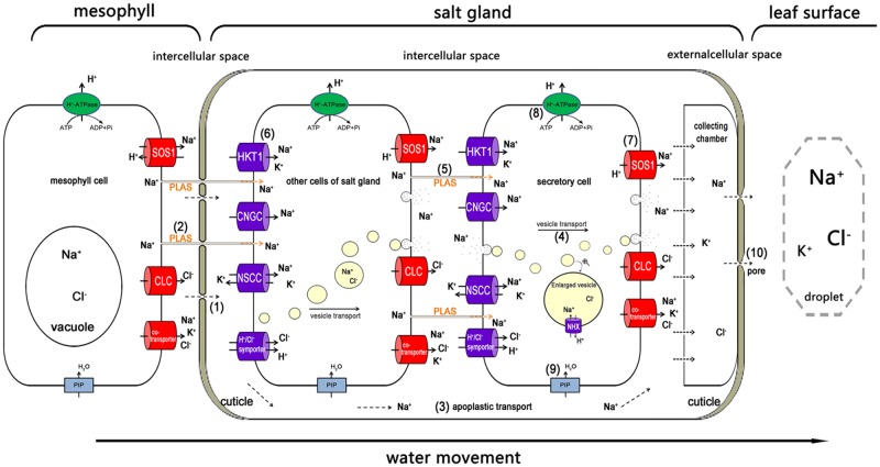 FIGURE 4