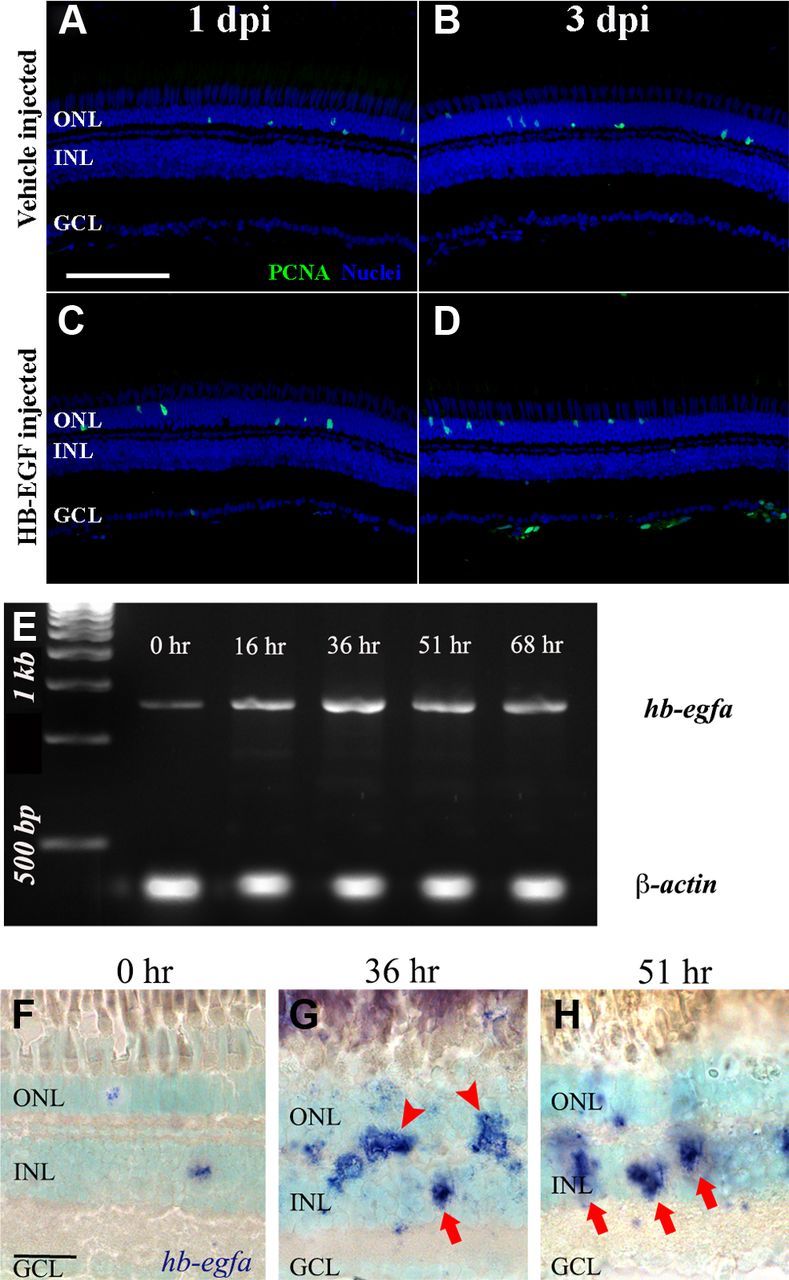 Figure 14.