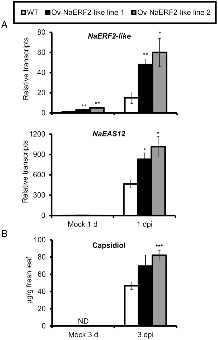 Fig. 10.