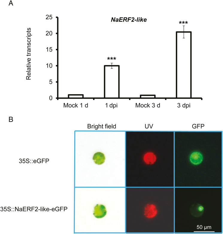 Fig. 6.