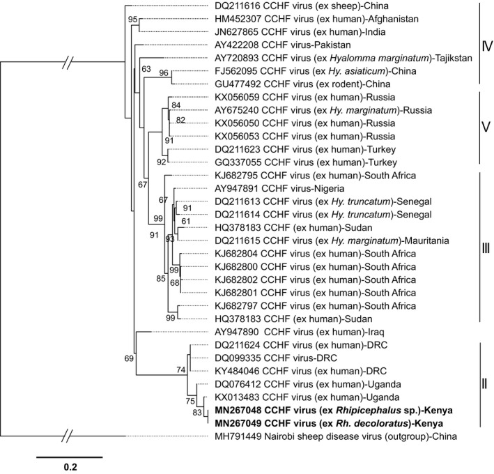 FIGURE 3