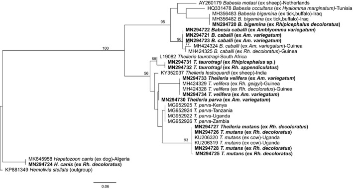 FIGURE 4