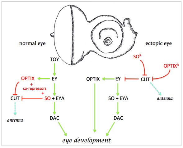 Fig. 8.