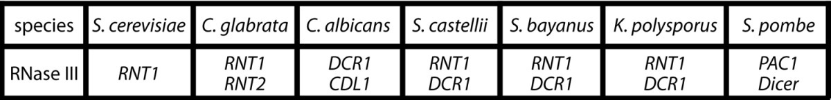 graphic file with name rna-9-1123-t1.jpg