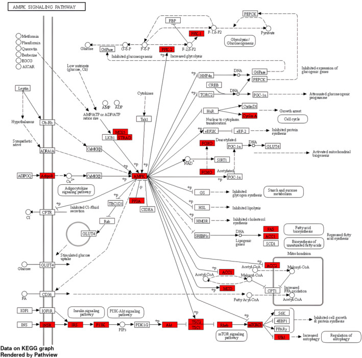 FIGURE 2