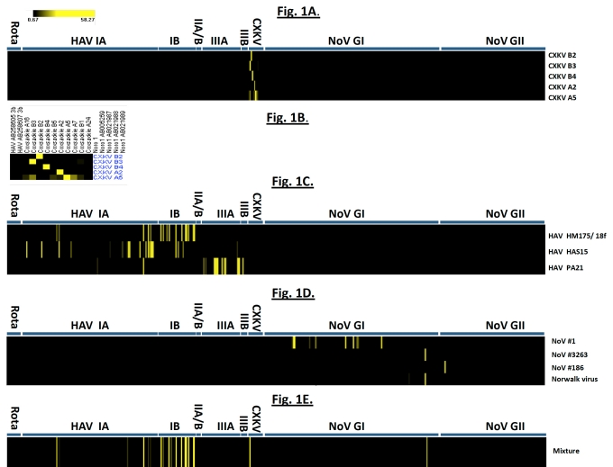 Fig. (1)