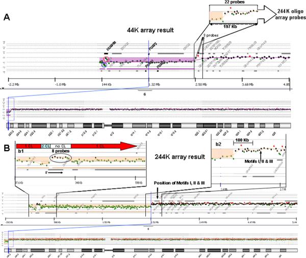 FIG. 3