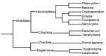Fig. (2)