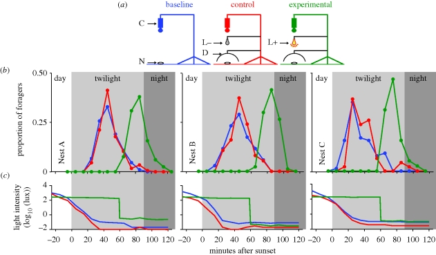 Figure 6.