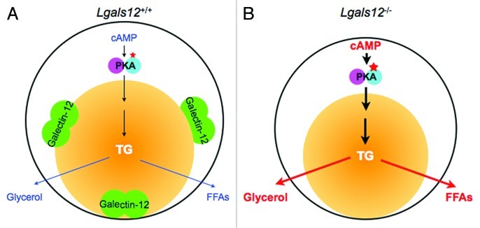 Figure 2. 