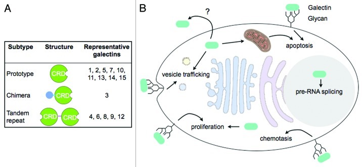 Figure 1. 