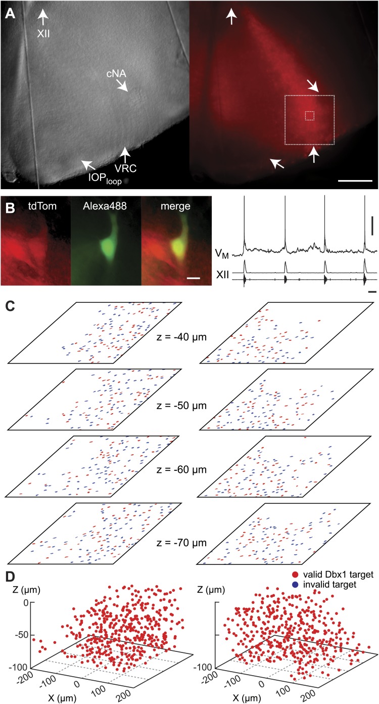 Figure 4.