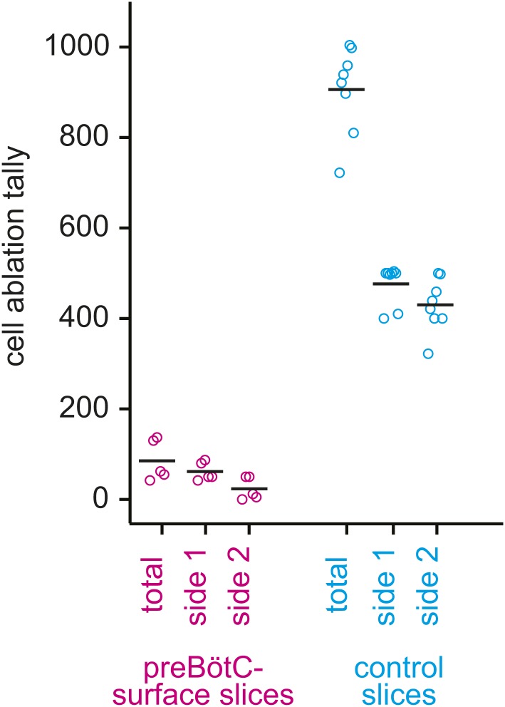 Figure 2—figure supplement 2.