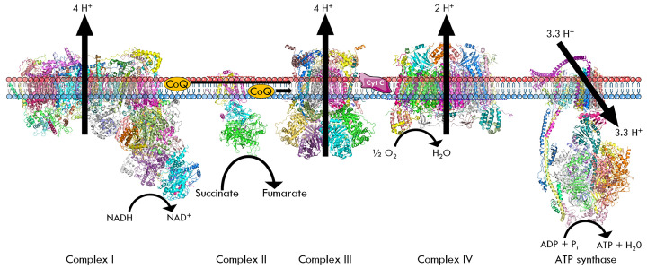 Figure 19