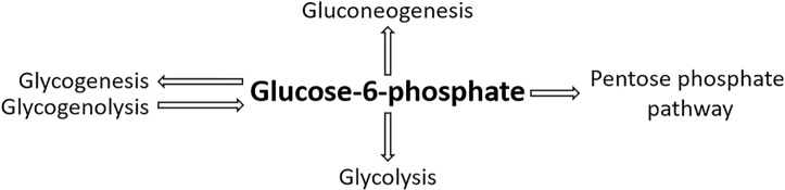 Figure 8