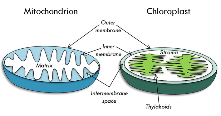 Figure 18