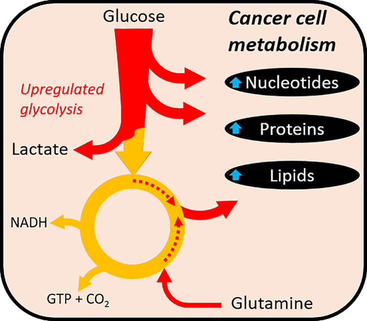 Figure 24