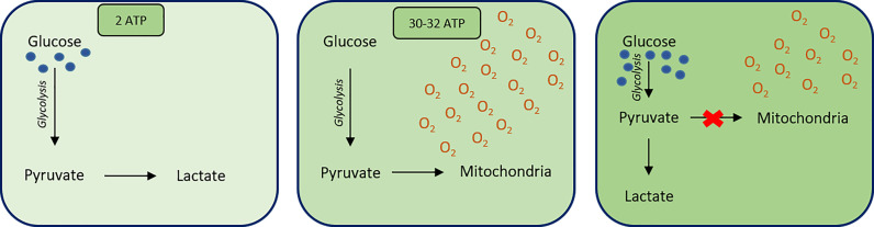 Figure 23