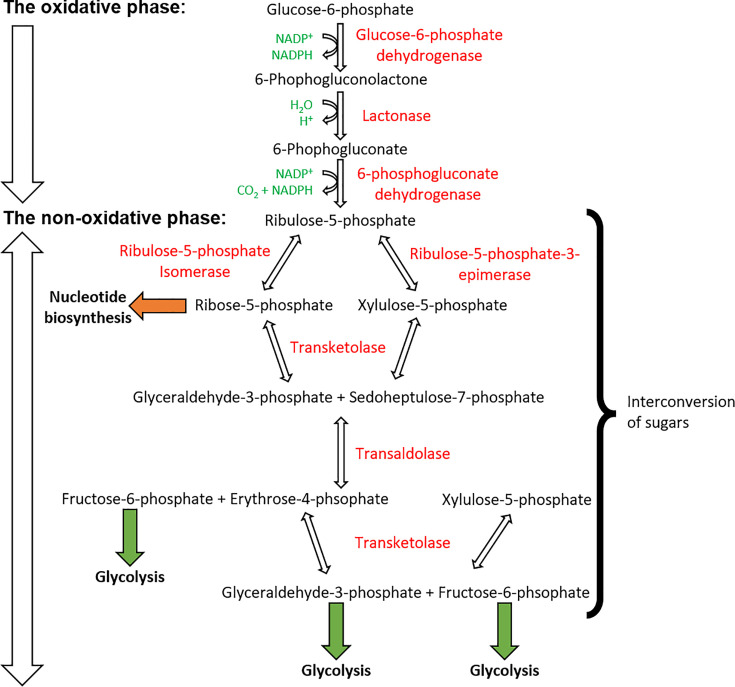 Figure 10