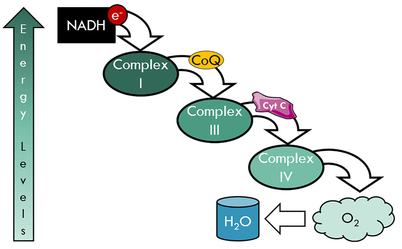 Figure 20