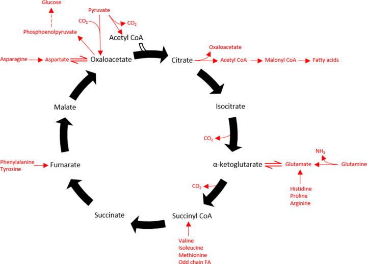 Figure 16